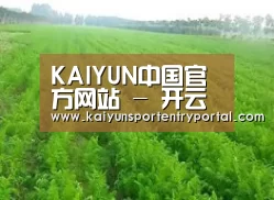 种植基地四