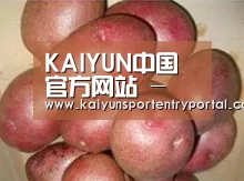 产品展示标题1