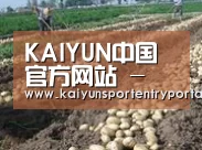 种植基地八