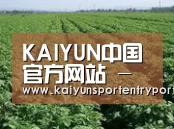 种植基地五(图1)