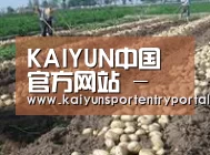种植基地七(图1)