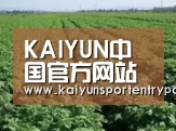 种植基地五
