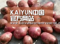 产品展示标题5(图1)