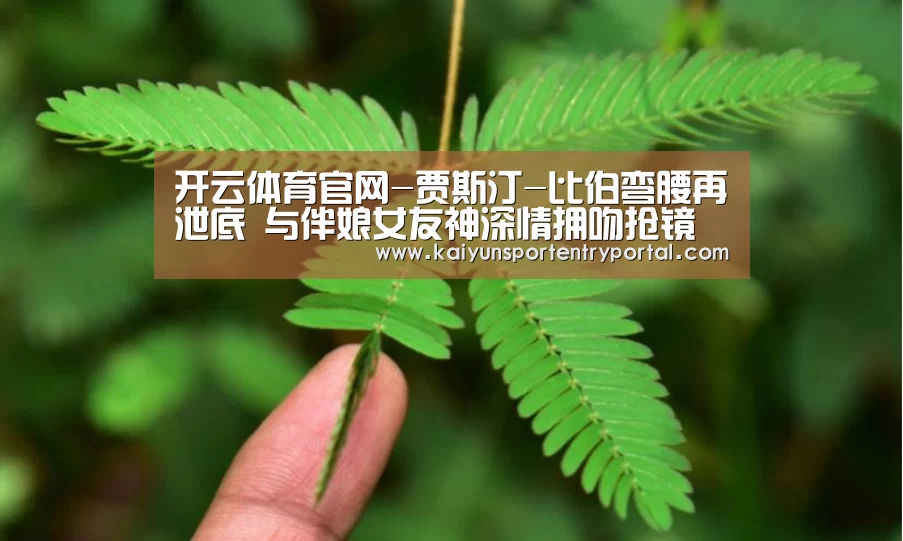 开云体育官网-贾斯汀-比伯弯腰再泄底 与伴娘女友神深情拥吻抢镜头(组图)(图1) 开云体育官网
