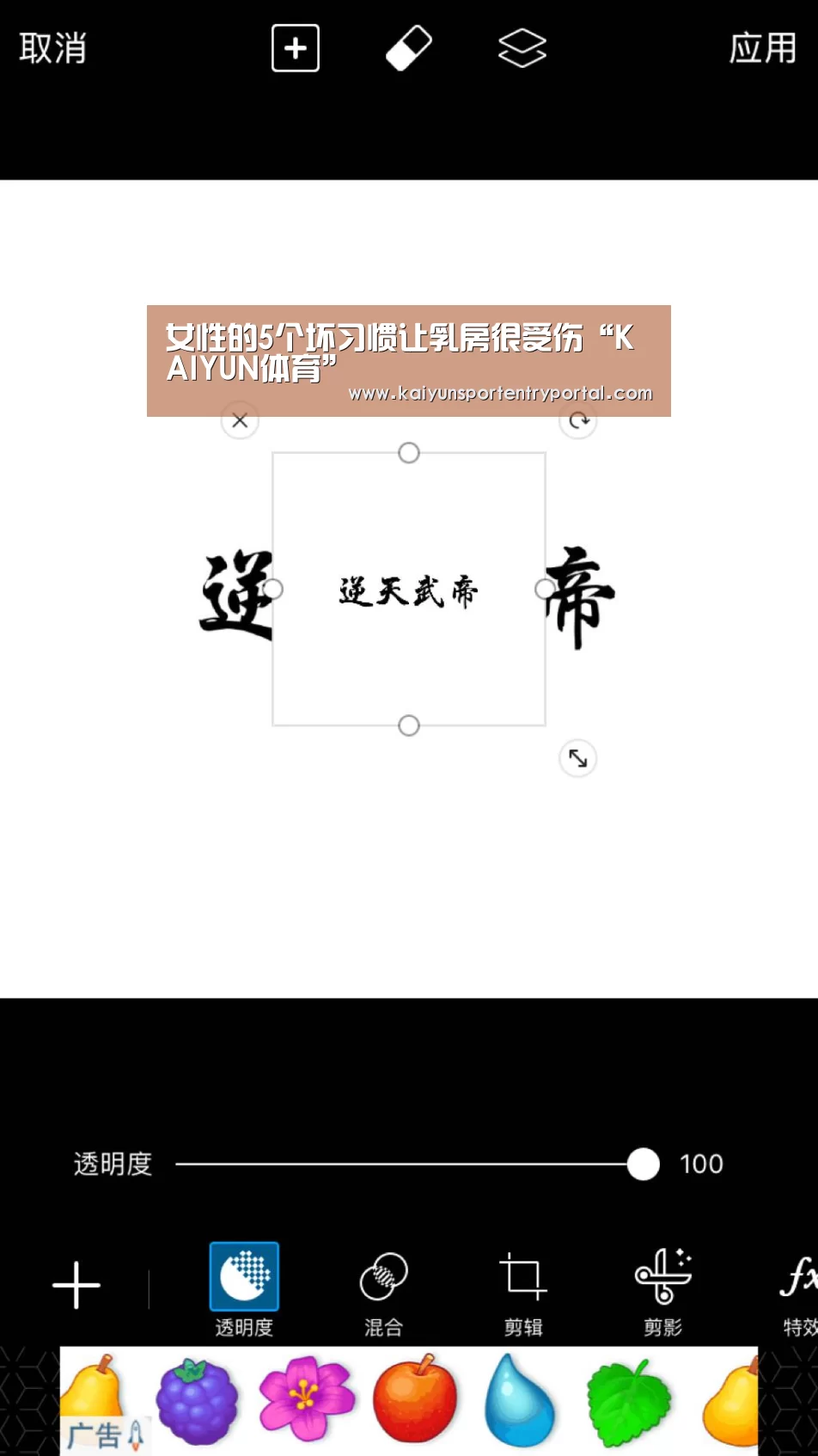开云体育官网